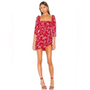 Camilla Coelho Lidia Dress Pink Flora size M red NWOT